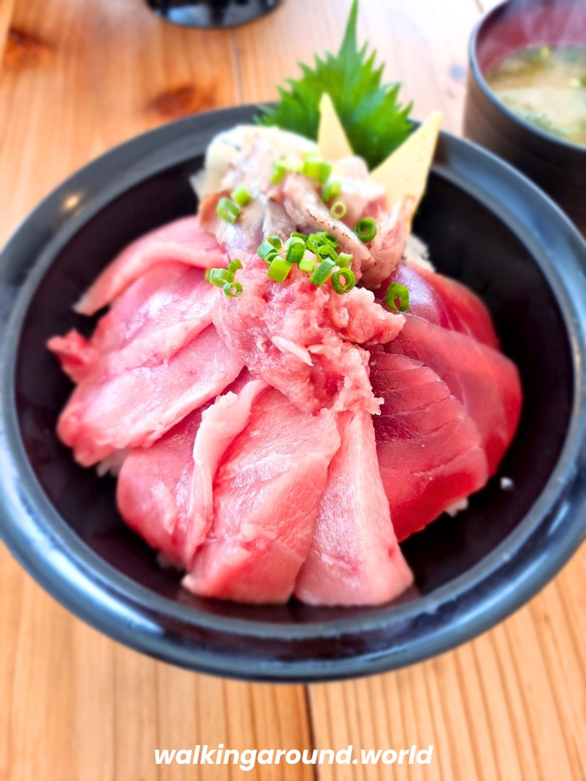 Kaisen-don-maguro-japon