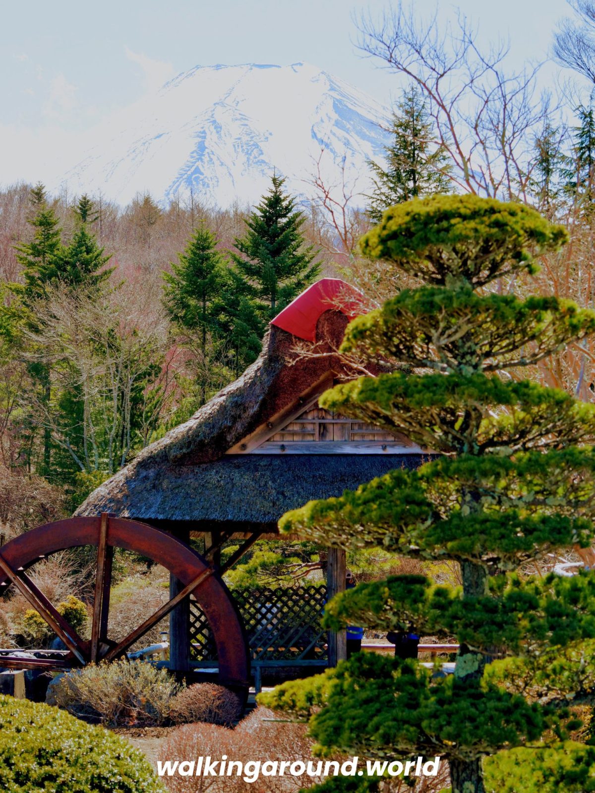 Oshino-Hakkai-fuji-san-kawaguchiko-japon