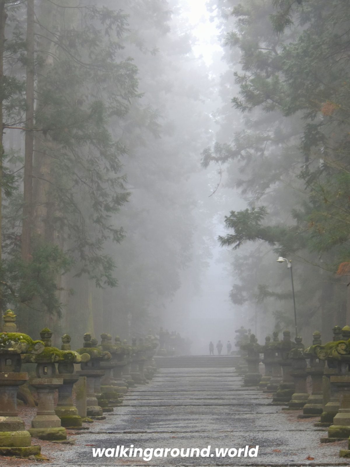 Santuario-Kitaguchi-Hongu-Fuji-Sengen-fuji-japon