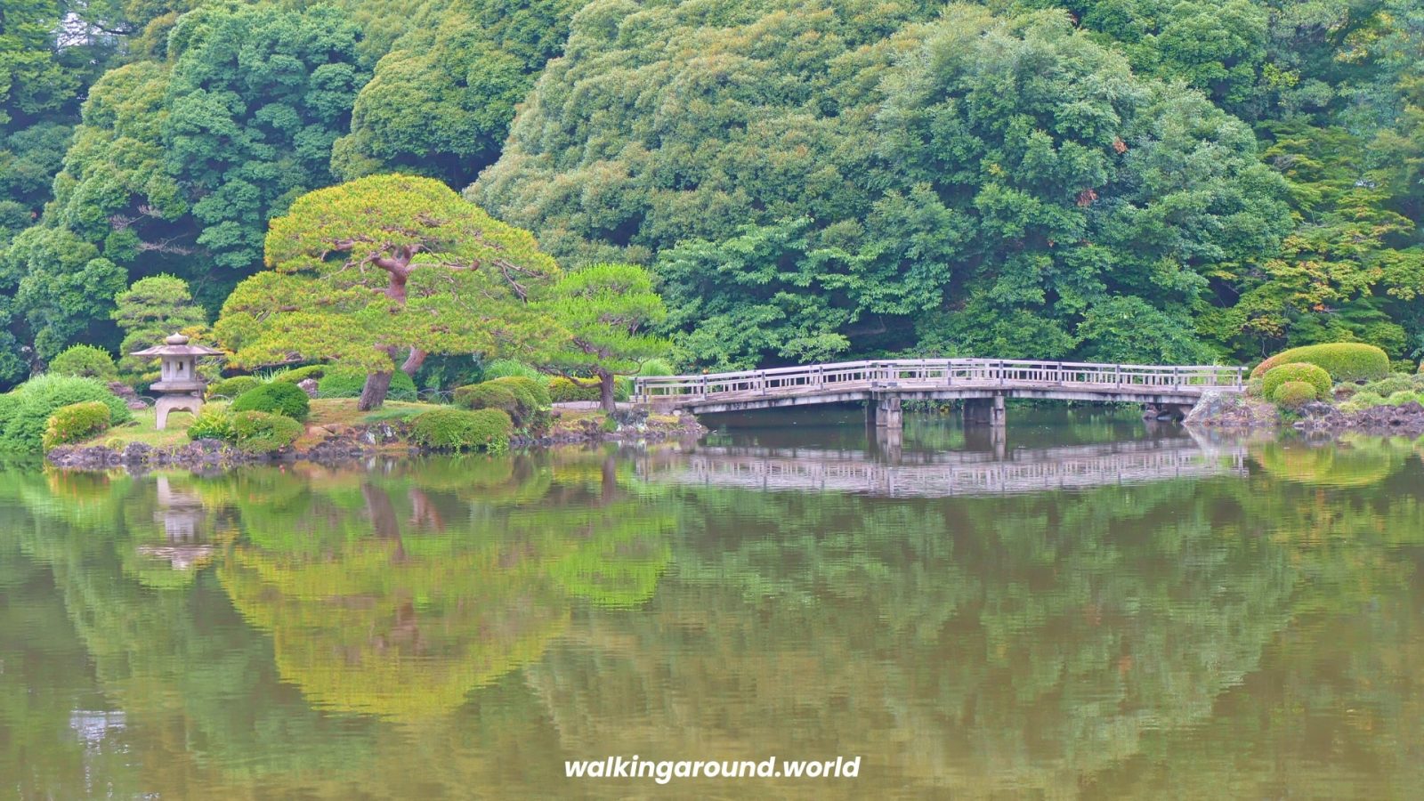 shinjuku-gyoen-garden-tokio-japon